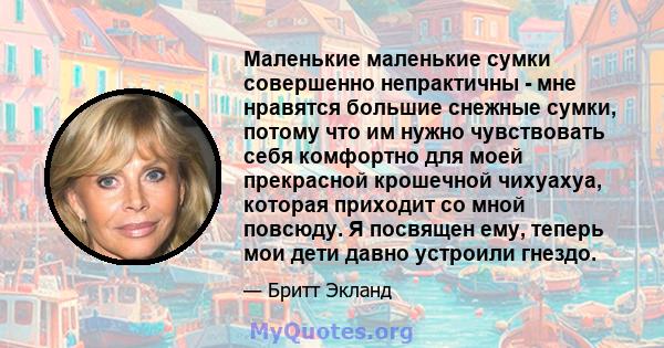 Маленькие маленькие сумки совершенно непрактичны - мне нравятся большие снежные сумки, потому что им нужно чувствовать себя комфортно для моей прекрасной крошечной чихуахуа, которая приходит со мной повсюду. Я посвящен