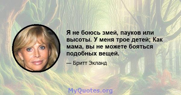 Я не боюсь змей, пауков или высоты. У меня трое детей; Как мама, вы не можете бояться подобных вещей.