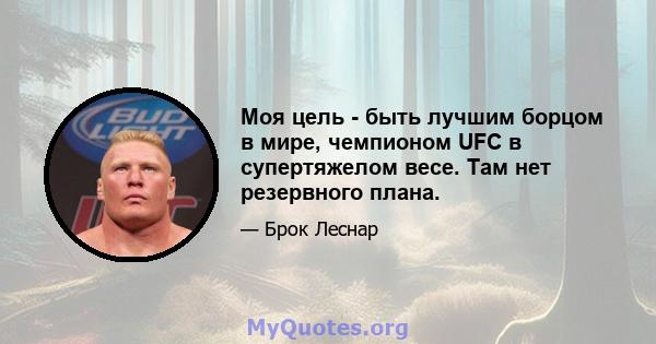 Моя цель - быть лучшим борцом в мире, чемпионом UFC в супертяжелом весе. Там нет резервного плана.