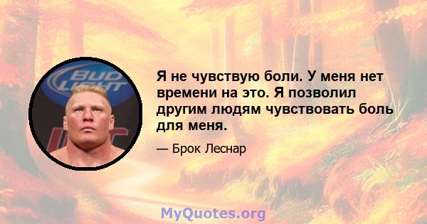 Я не чувствую боли. У меня нет времени на это. Я позволил другим людям чувствовать боль для меня.