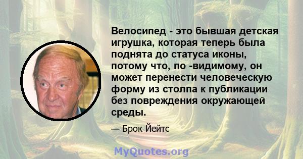 Велосипед - это бывшая детская игрушка, которая теперь была поднята до статуса иконы, потому что, по -видимому, он может перенести человеческую форму из столпа к публикации без повреждения окружающей среды.