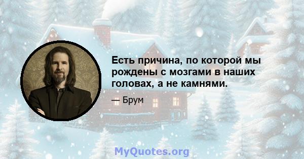 Есть причина, по которой мы рождены с мозгами в наших головах, а не камнями.