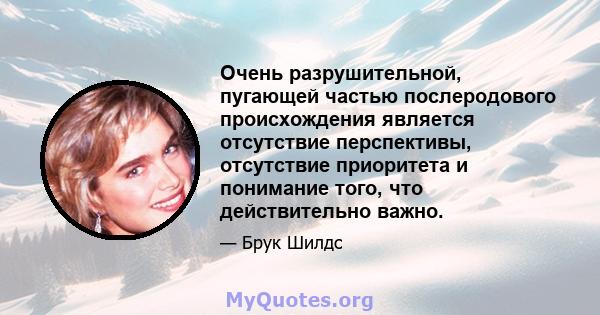 Очень разрушительной, пугающей частью послеродового происхождения является отсутствие перспективы, отсутствие приоритета и понимание того, что действительно важно.