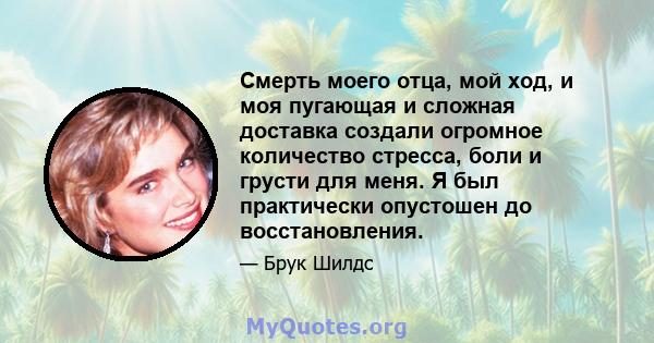 Смерть моего отца, мой ход, и моя пугающая и сложная доставка создали огромное количество стресса, боли и грусти для меня. Я был практически опустошен до восстановления.