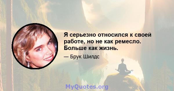 Я серьезно относился к своей работе, но не как ремесло. Больше как жизнь.