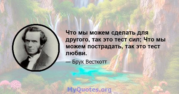 Что мы можем сделать для другого, так это тест сил; Что мы можем пострадать, так это тест любви.