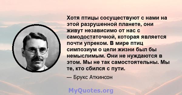 Хотя птицы сосуществуют с нами на этой разрушенной планете, они живут независимо от нас с самодостаточной, которая является почти упреком. В мире птиц симпозиум о цели жизни был бы немыслимым. Они не нуждаются в этом.