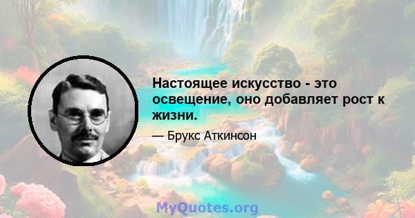 Настоящее искусство - это освещение, оно добавляет рост к жизни.