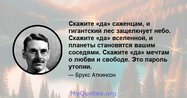 Скажите «да» саженцам, и гигантский лес защелкнует небо. Скажите «да» вселенной, и планеты становятся вашим соседями. Скажите «да» мечтам о любви и свободе. Это пароль утопии.