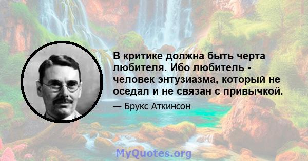 В критике должна быть черта любителя. Ибо любитель - человек энтузиазма, который не оседал и не связан с привычкой.