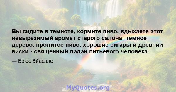 Вы сидите в темноте, кормите пиво, вдыхаете этот невыразимый аромат старого салона: темное дерево, пролитое пиво, хорошие сигары и древний виски - священный ладан питьевого человека.