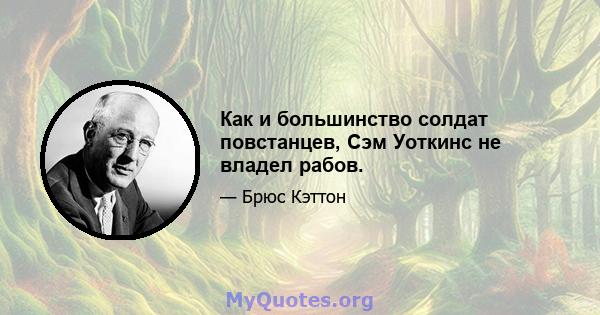 Как и большинство солдат повстанцев, Сэм Уоткинс не владел рабов.