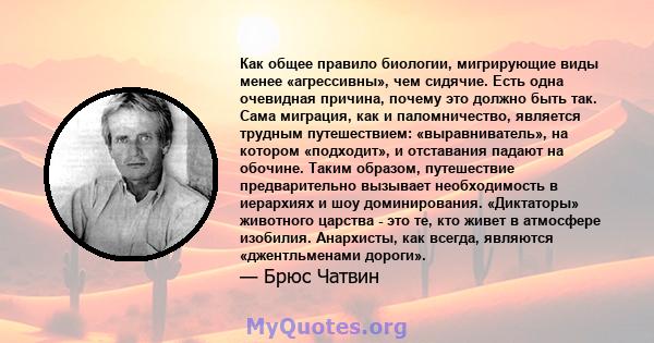 Как общее правило биологии, мигрирующие виды менее «агрессивны», чем сидячие. Есть одна очевидная причина, почему это должно быть так. Сама миграция, как и паломничество, является трудным путешествием: «выравниватель»,