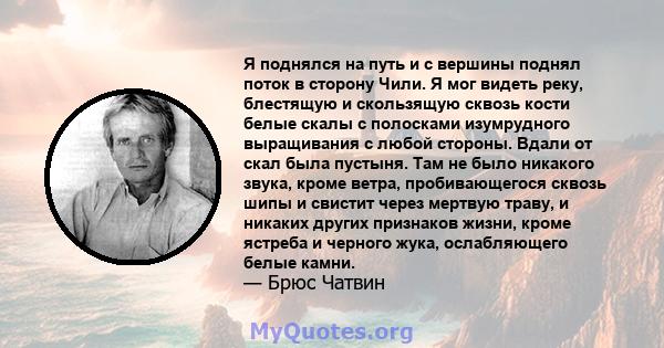 Я поднялся на путь и с вершины поднял поток в сторону Чили. Я мог видеть реку, блестящую и скользящую сквозь кости белые скалы с полосками изумрудного выращивания с любой стороны. Вдали от скал была пустыня. Там не было 