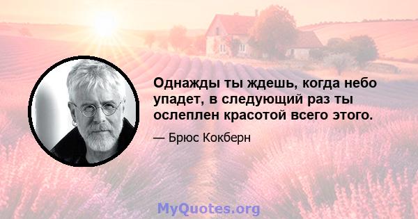 Однажды ты ждешь, когда небо упадет, в следующий раз ты ослеплен красотой всего этого.