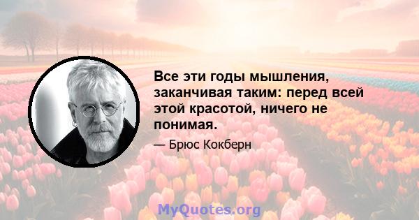 Все эти годы мышления, заканчивая таким: перед всей этой красотой, ничего не понимая.