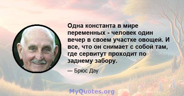 Одна константа в мире переменных - человек один вечер в своем участке овощей. И все, что он снимает с собой там, где сервитут проходит по заднему забору.