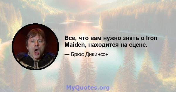 Все, что вам нужно знать о Iron Maiden, находится на сцене.