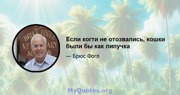 Если когти не отозвались, кошки были бы как липучка