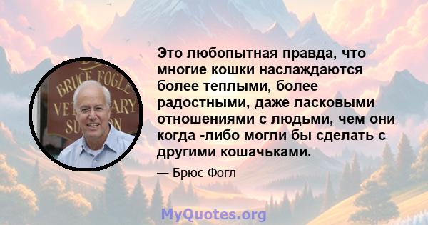 Это любопытная правда, что многие кошки наслаждаются более теплыми, более радостными, даже ласковыми отношениями с людьми, чем они когда -либо могли бы сделать с другими кошачьками.