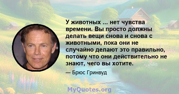 У животных ... нет чувства времени. Вы просто должны делать вещи снова и снова с животными, пока они не случайно делают это правильно, потому что они действительно не знают, чего вы хотите.