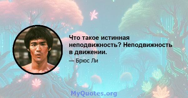 Что такое истинная неподвижность? Неподвижность в движении.