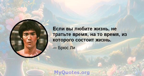 Если вы любите жизнь, не тратьте время, на то время, из которого состоит жизнь.