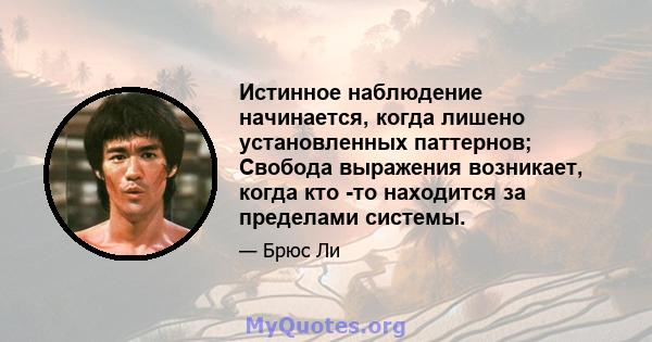 Истинное наблюдение начинается, когда лишено установленных паттернов; Свобода выражения возникает, когда кто -то находится за пределами системы.