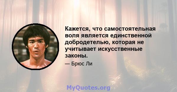 Кажется, что самостоятельная воля является единственной добродетелью, которая не учитывает искусственные законы.