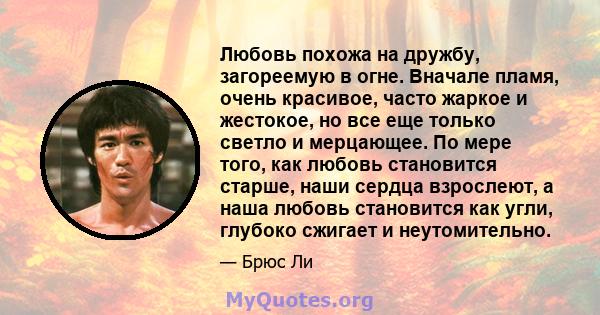 Любовь похожа на дружбу, загореемую в огне. Вначале пламя, очень красивое, часто жаркое и жестокое, но все еще только светло и мерцающее. По мере того, как любовь становится старше, наши сердца взрослеют, а наша любовь