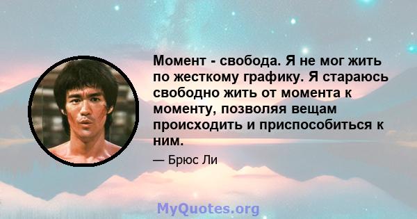 Момент - свобода. Я не мог жить по жесткому графику. Я стараюсь свободно жить от момента к моменту, позволяя вещам происходить и приспособиться к ним.