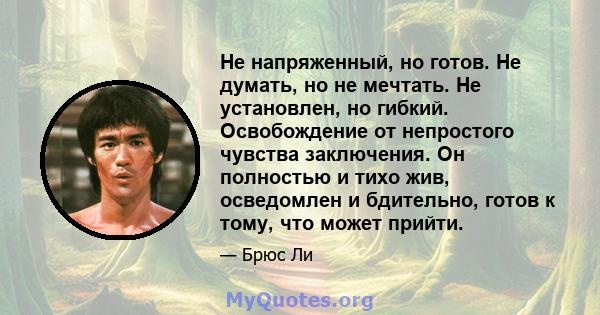 Не напряженный, но готов. Не думать, но не мечтать. Не установлен, но гибкий. Освобождение от непростого чувства заключения. Он полностью и тихо жив, осведомлен и бдительно, готов к тому, что может прийти.