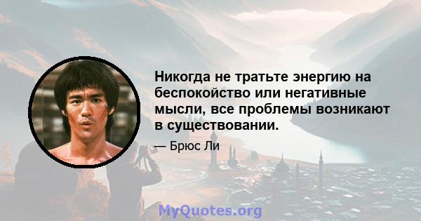 Никогда не тратьте энергию на беспокойство или негативные мысли, все проблемы возникают в существовании.