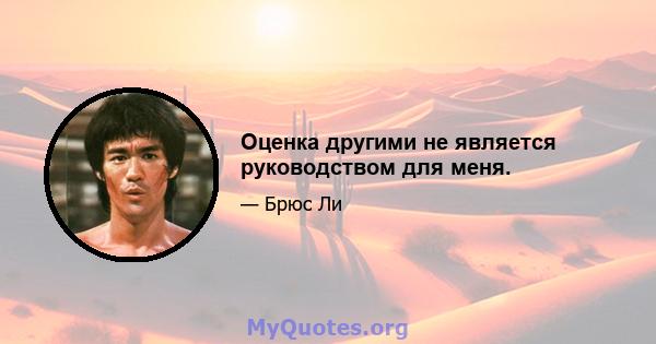 Оценка другими не является руководством для меня.