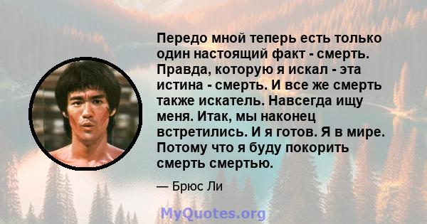 Передо мной теперь есть только один настоящий факт - смерть. Правда, которую я искал - эта истина - смерть. И все же смерть также искатель. Навсегда ищу меня. Итак, мы наконец встретились. И я готов. Я в мире. Потому