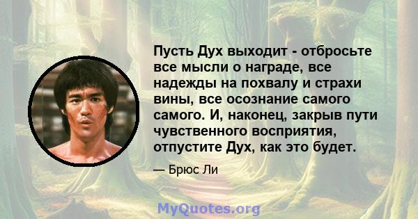 Пусть Дух выходит - отбросьте все мысли о награде, все надежды на похвалу и страхи вины, все осознание самого самого. И, наконец, закрыв пути чувственного восприятия, отпустите Дух, как это будет.