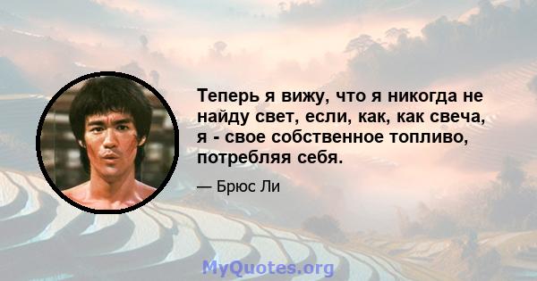 Теперь я вижу, что я никогда не найду свет, если, как, как свеча, я - свое собственное топливо, потребляя себя.