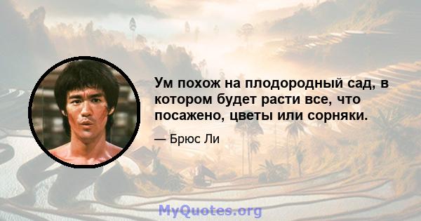 Ум похож на плодородный сад, в котором будет расти все, что посажено, цветы или сорняки.