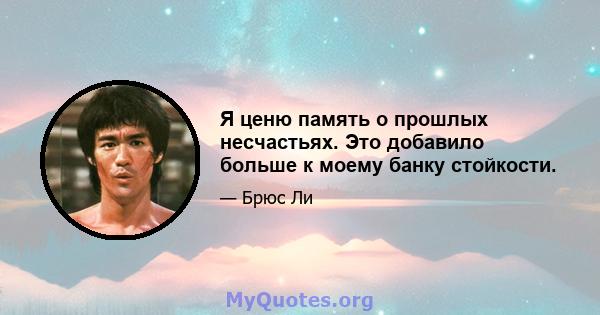 Я ценю память о прошлых несчастьях. Это добавило больше к моему банку стойкости.