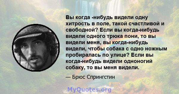 Вы когда -нибудь видели одну хитрость в поле, такой счастливой и свободной? Если вы когда-нибудь видели одного трюка пони, то вы видели меня, вы когда-нибудь видели, чтобы собака с одно ножным пробиралась по улице? Если 