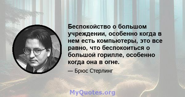 Беспокойство о большом учреждении, особенно когда в нем есть компьютеры, это все равно, что беспокоиться о большой горилле, особенно когда она в огне.