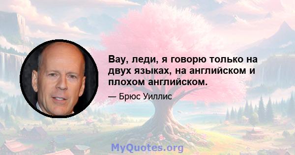 Вау, леди, я говорю только на двух языках, на английском и плохом английском.