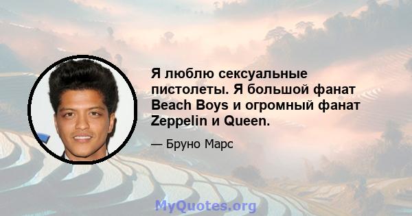 Я люблю сексуальные пистолеты. Я большой фанат Beach Boys и огромный фанат Zeppelin и Queen.