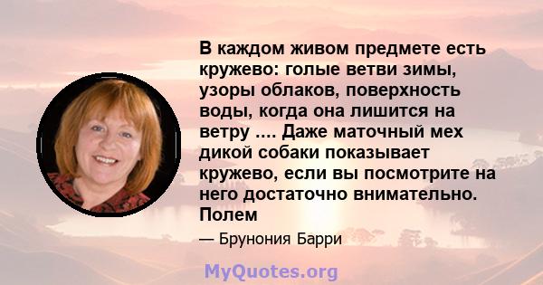 В каждом живом предмете есть кружево: голые ветви зимы, узоры облаков, поверхность воды, когда она лишится на ветру .... Даже маточный мех дикой собаки показывает кружево, если вы посмотрите на него достаточно