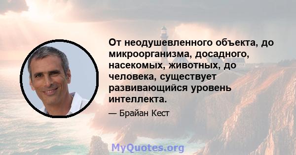 От неодушевленного объекта, до микроорганизма, досадного, насекомых, животных, до человека, существует развивающийся уровень интеллекта.