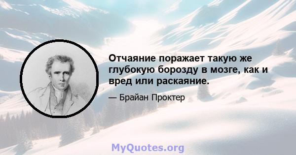 Отчаяние поражает такую ​​же глубокую борозду в мозге, как и вред или раскаяние.