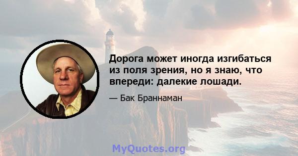 Дорога может иногда изгибаться из поля зрения, но я знаю, что впереди: далекие лошади.