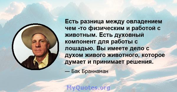 Есть разница между овладением чем -то физическим и работой с животным. Есть духовный компонент для работы с лошадью. Вы имеете дело с духом живого животного, которое думает и принимает решения.