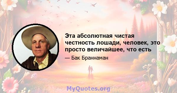 Эта абсолютная чистая честность лошади, человек, это просто величайшее, что есть