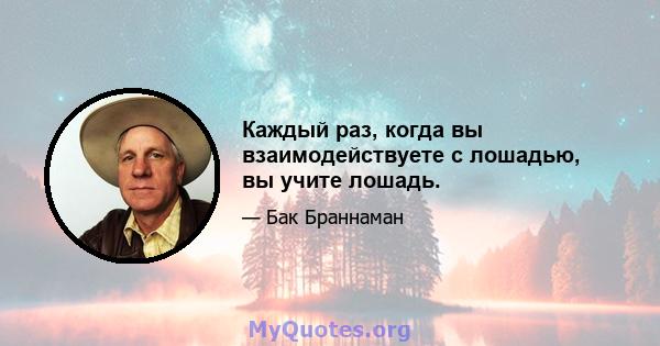 Каждый раз, когда вы взаимодействуете с лошадью, вы учите лошадь.